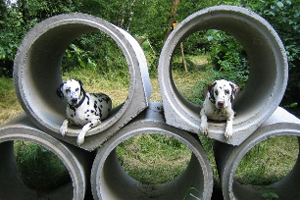 doppel_roehren_300x200px